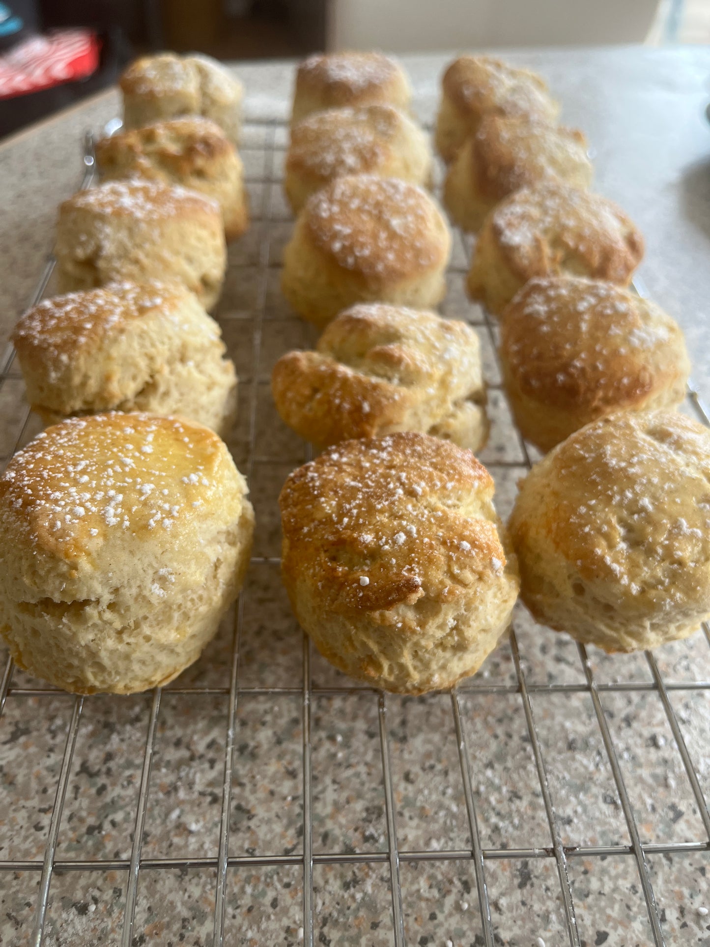 Mini Scones